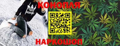 крисы Абакан