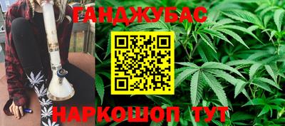 крисы Абакан