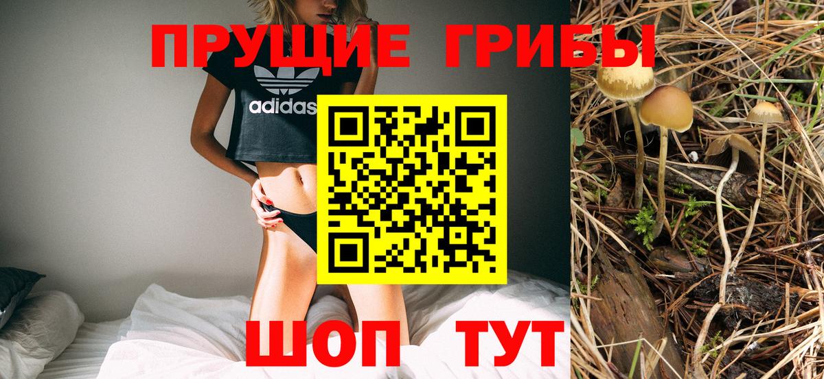 Галлюциногенные грибы Cubensis Отрадное
