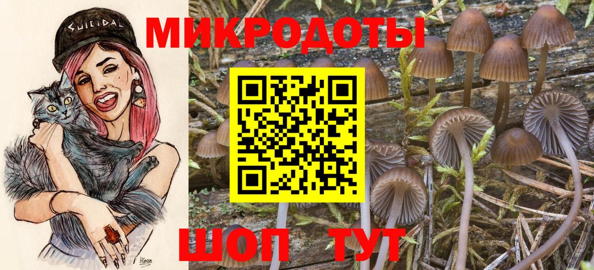 купить  цена  Галлюциногенные грибы мухоморы  Псилоцибиновые грибы GOLDEN TEACHER  Вход с VPN  Отрадное 