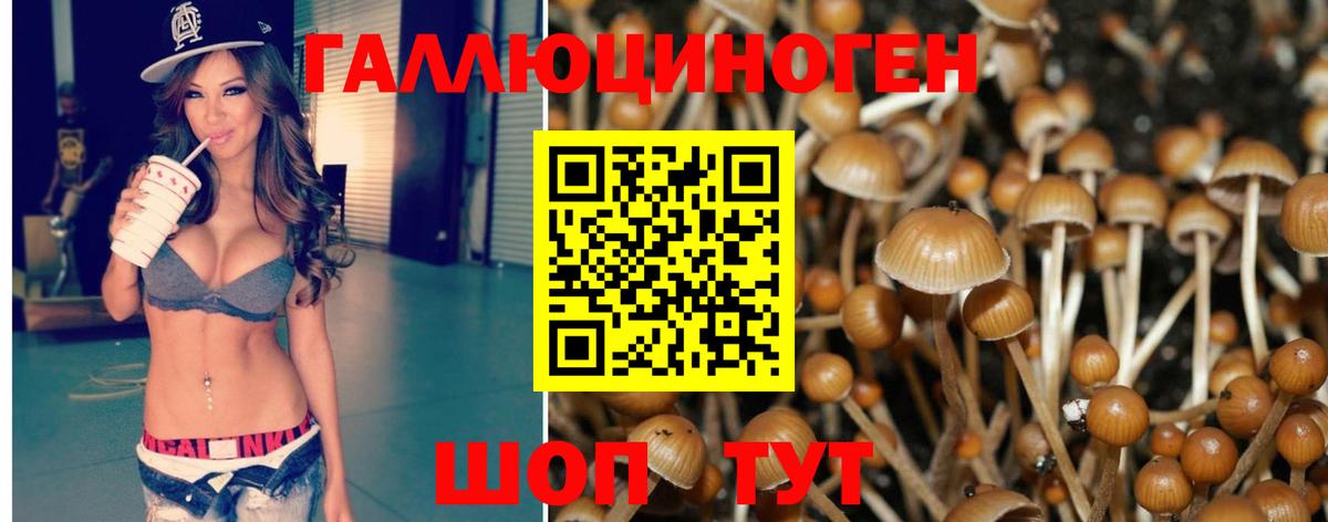 Псилоцибиновые грибы Cubensis Отрадное