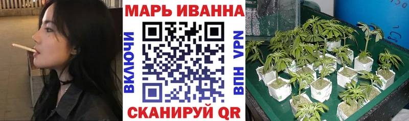 Бошки Шишки SATIVA & INDICA  купить наркотики цена  маркетплейс официальный сайт  Отрадное 